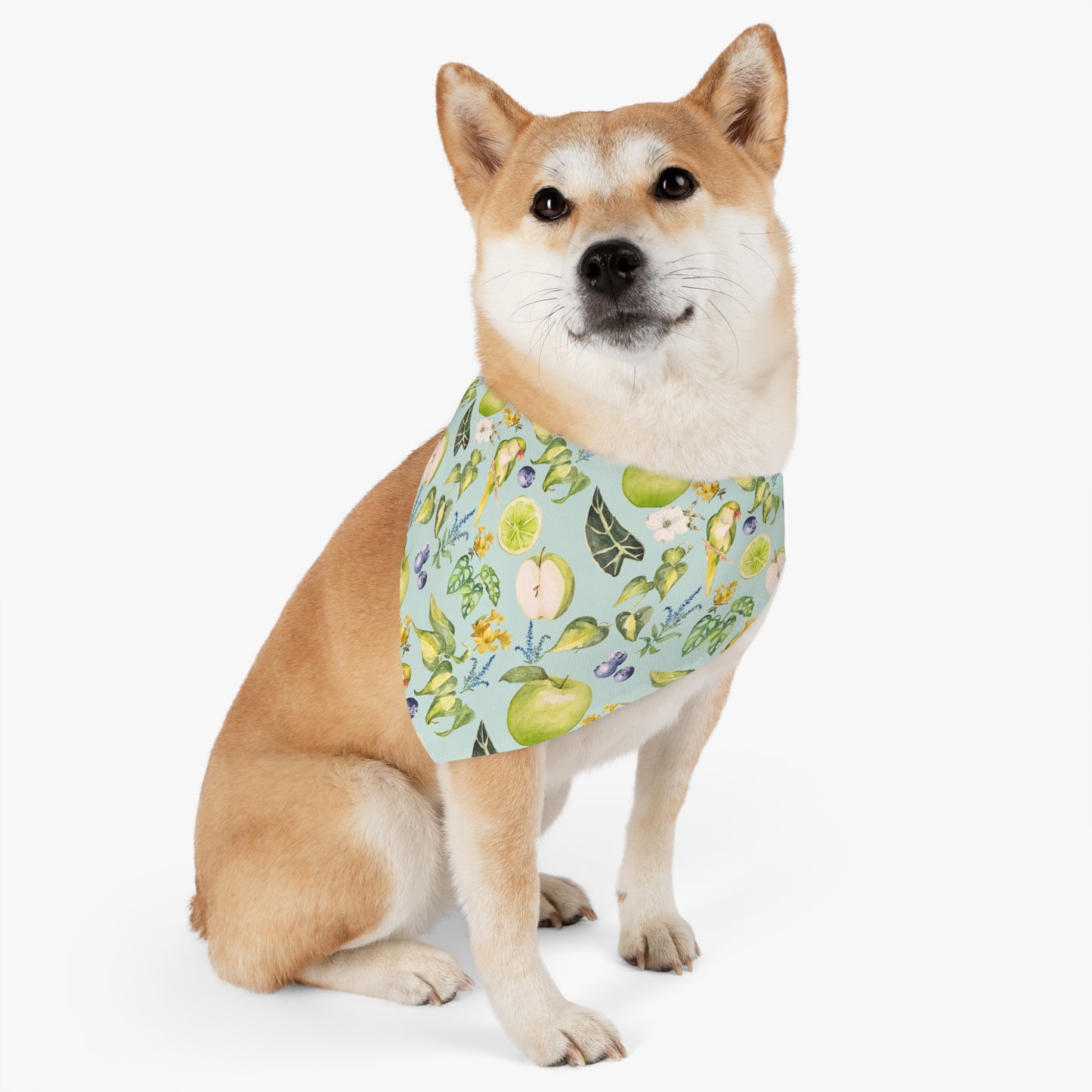 Apple Pet Bandana Collar