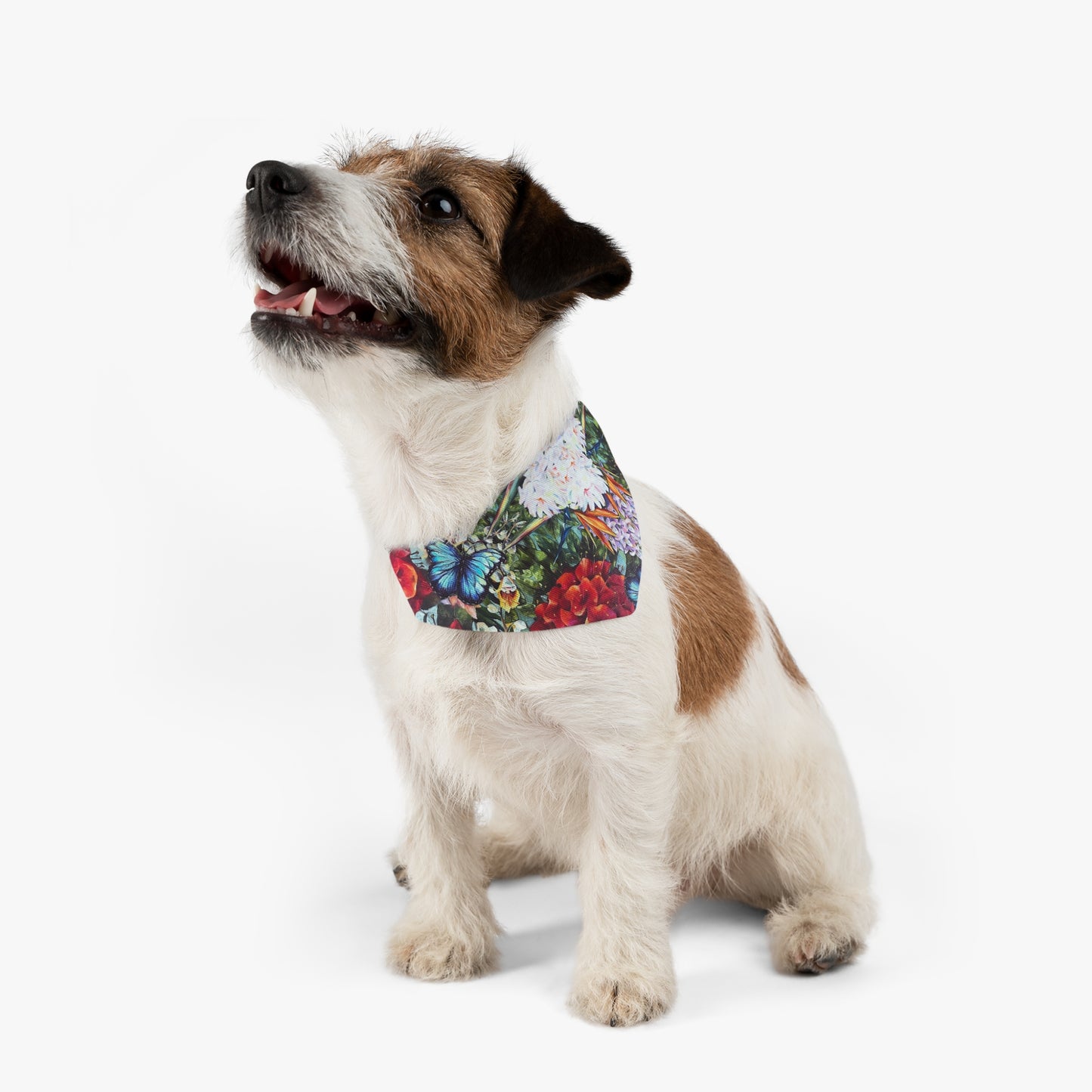 Wonder Garden Pet Bandana Collar