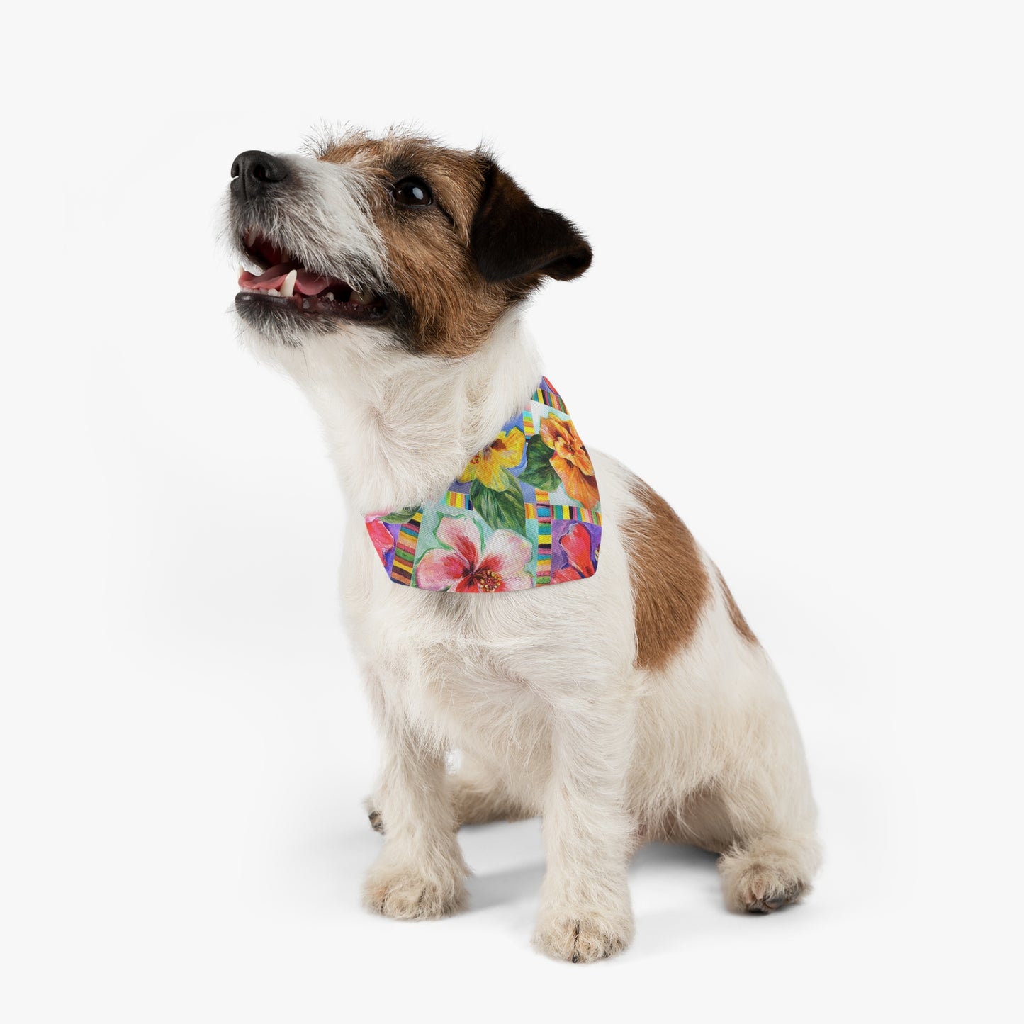 Hibiscus Pet Bandana Collar