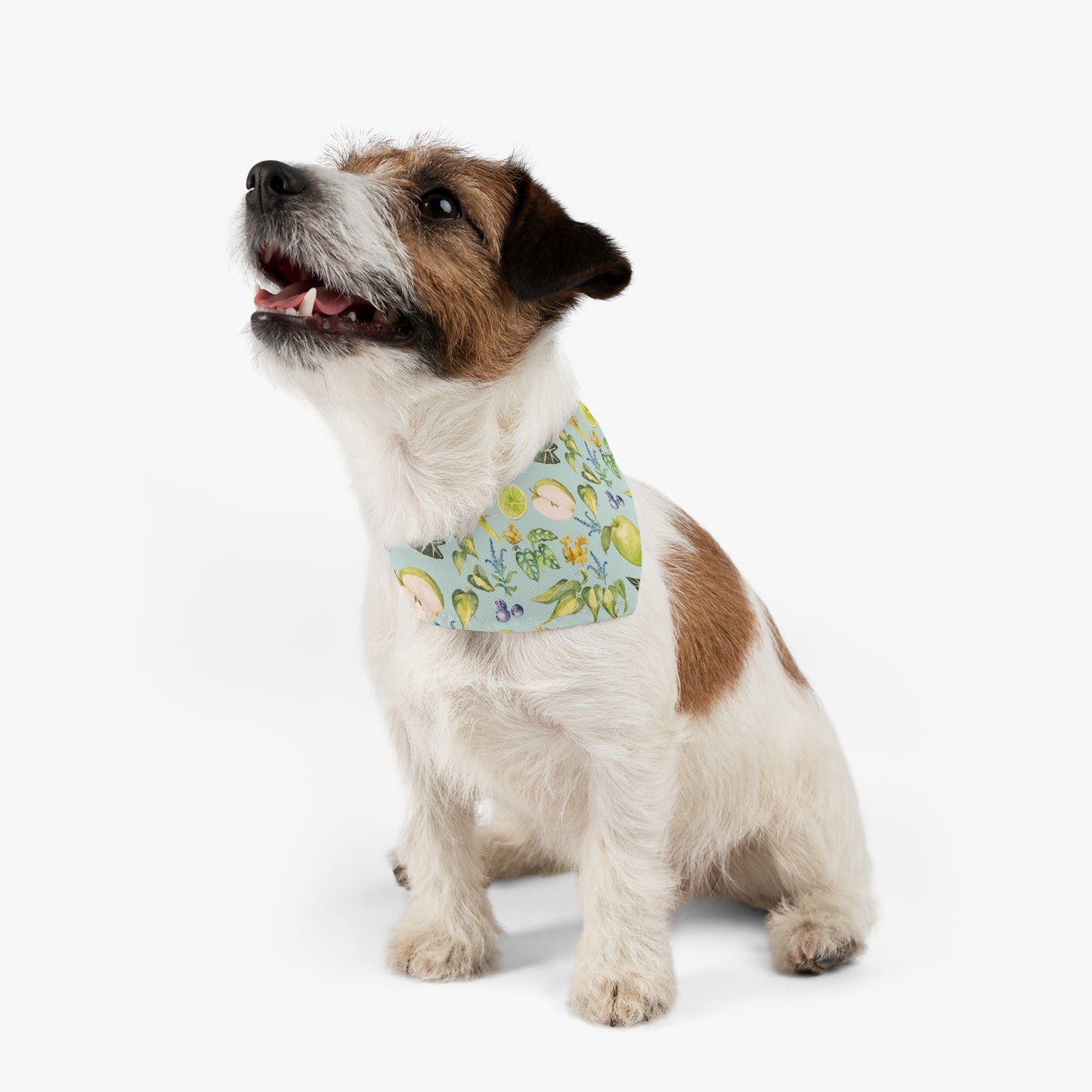 Apple Pet Bandana Collar