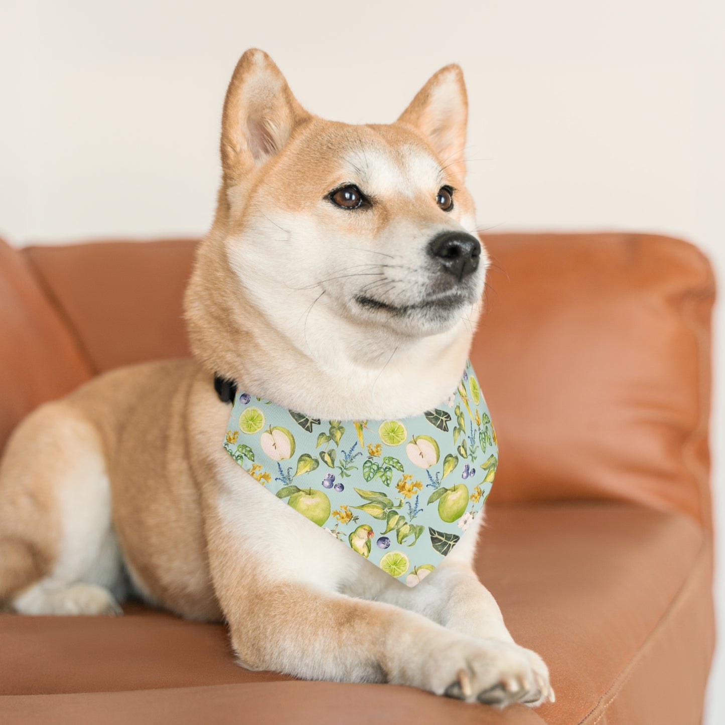 Apple Pet Bandana Collar