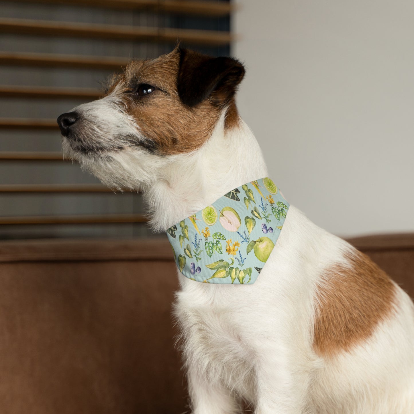 Apple Pet Bandana Collar