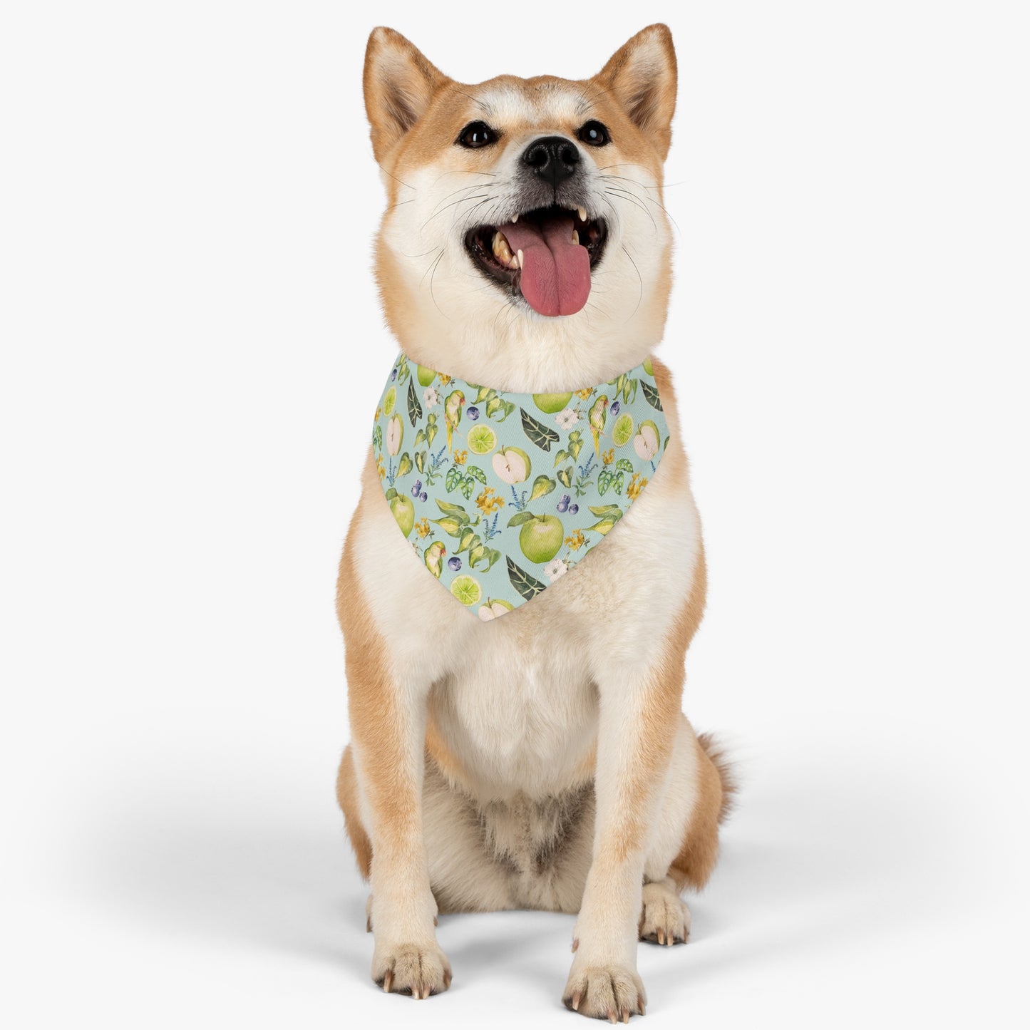 Apple Pet Bandana Collar