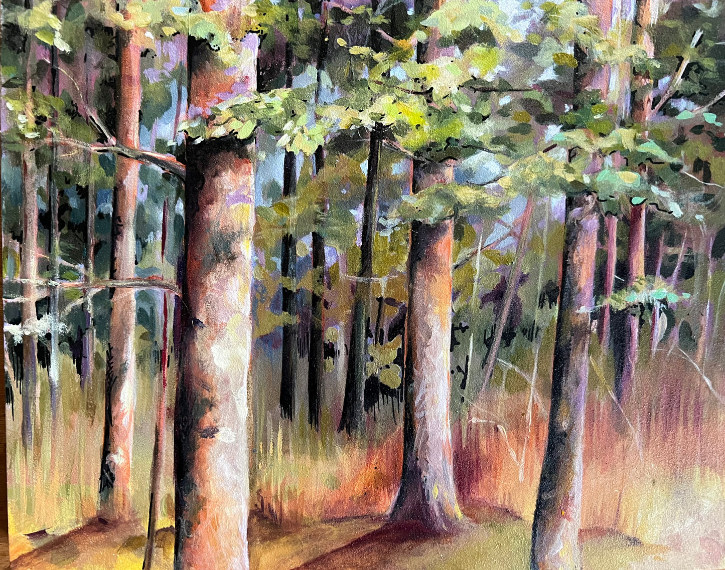 Pine Forest