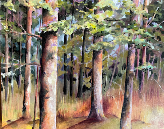 Pine Forest