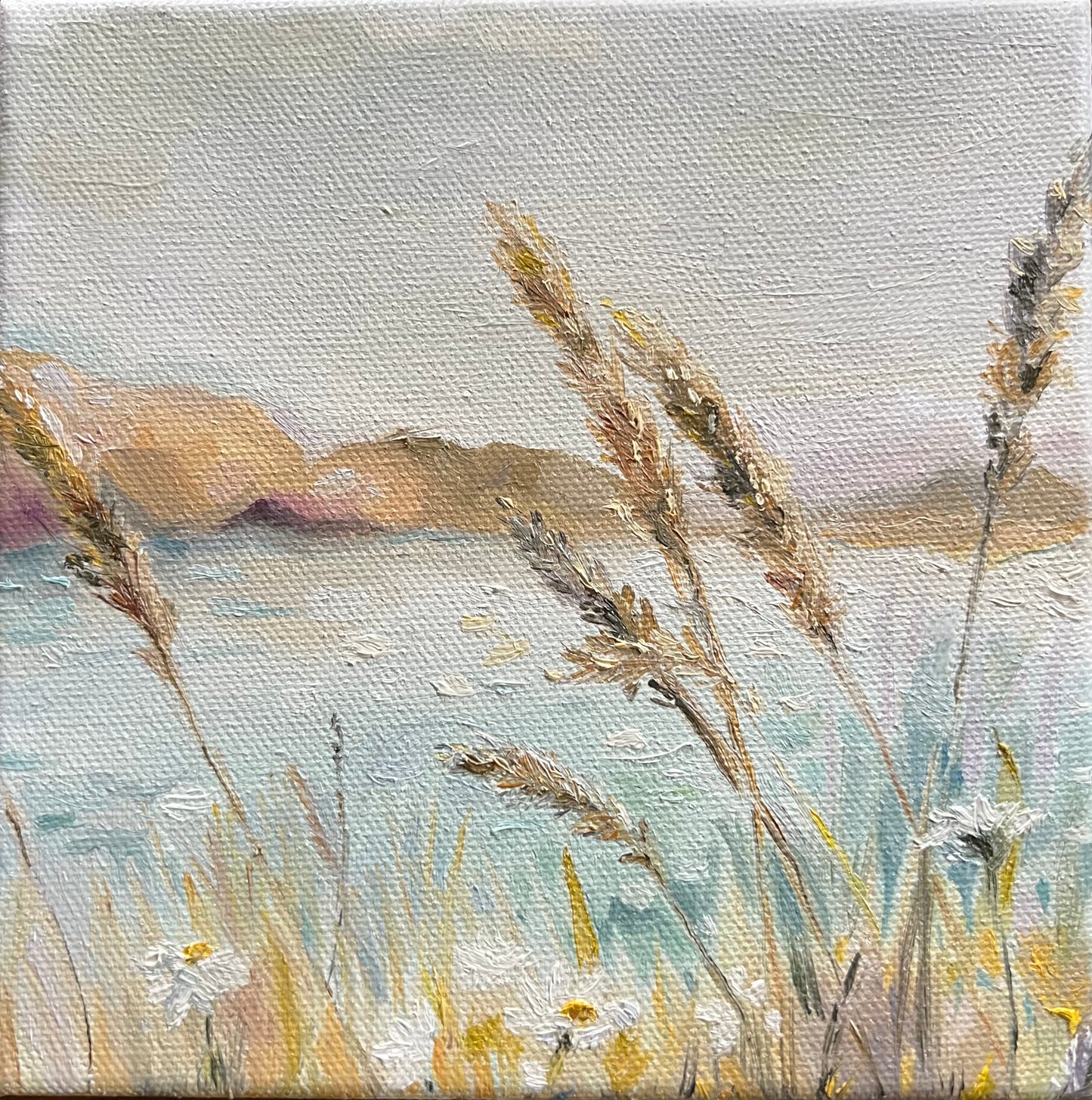 Sea grass Mini