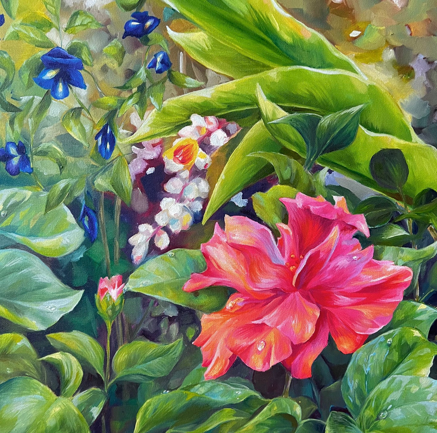 Pink Hibiscus